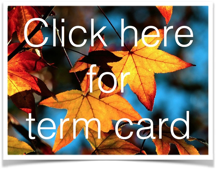 Termcard click