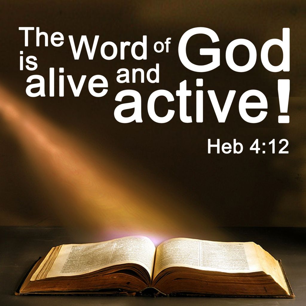 Bible alive
